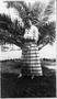 Thumbnail image of item number 1 in: '[Photograph of Mrs. McCamely in front of a large shrub in a yard]'.