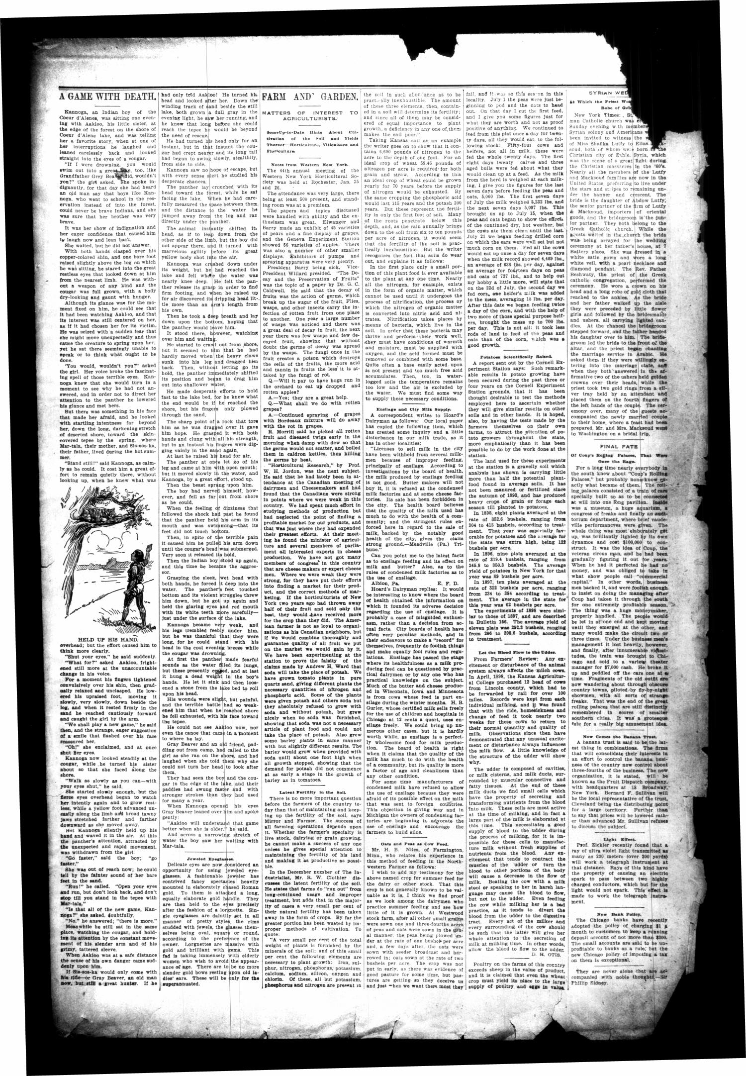 The Cuero Daily Record. (Cuero, Tex.), Vol. 10, No. [61], Ed. 1 Sunday, March 19, 1899
                                                
                                                    [Sequence #]: 3 of 8
                                                