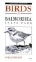 Pamphlet: Birds of Balmorhea State Park: A Field Checklist