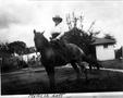 Photograph: ["Myrtle Lott" riding a horse]