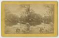 Thumbnail image of item number 1 in: '[A View of the Comal River]'.