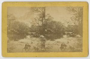 [A View of the Comal River]
