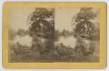 Thumbnail image of item number 1 in: '[A View of the Comal River]'.
