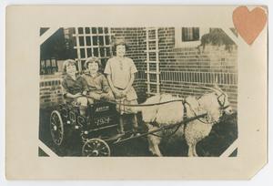 Primary view of object titled '[Three Children With A Goat-Cart]'.