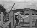 Photograph: [Construction Worker Examining Plans While Leaning on Scaffolding]