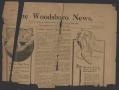 Primary view of The Woodsboro News. (Woodsboro, Tex.), Vol. 3, No. [6], Ed. 1 Friday, December 3, 1915