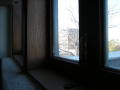 Primary view of [Looking Out of Windows]