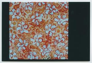 Primary view of object titled '[Flowery Painting by Candace Brinceño]'.