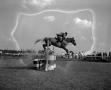 Thumbnail image of item number 1 in: '[Horse Jumping Over a Hurdle]'.