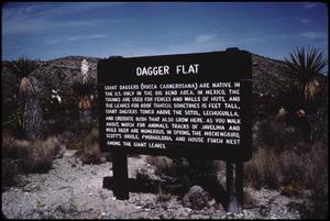 Primary view of object titled '[Dagger Flat Sign]'.