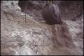 Photograph: [Mastodon Dig Site Close Up]