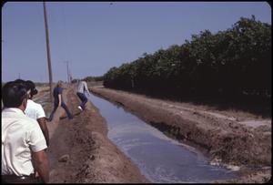[Irrigation Ditch Near Mission, Texas]