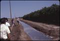 Primary view of [Irrigation Ditch Near Mission, Texas]