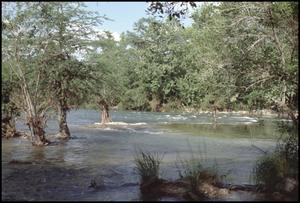 [Huaco Springs at Guadalupe River]
