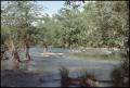 Photograph: [Huaco Springs at Guadalupe River]
