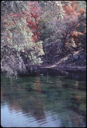 Primary view of object titled '[Body of Water at Lost Maples State Park]'.