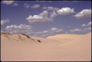 [Sand Dunes at Monahans Sandhills State Park]