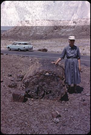 [Posing in Petrified Forest]