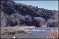 Primary view of [Guadalupe River Along River Road]