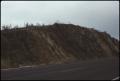 Photograph: [Dipping Paleozoics Road Cut]