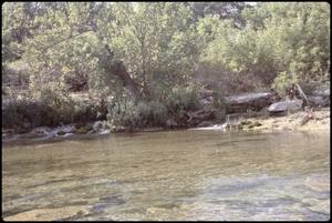 [Guadalupe River Springs at North Fork]