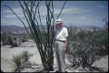 Thumbnail image of item number 1 in: '[Adolph Streng Among Desert Vegetation]'.
