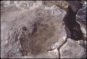 [Human Footprint in Limestone 1]