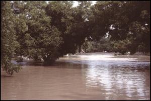 Primary view of object titled '[Guadalupe River Flooding Glen Cove Subdivision]'.