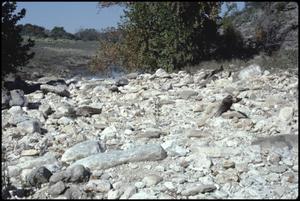 [Dry Bed of North Fork of Guadalupe River]