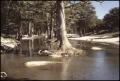 Thumbnail image of item number 1 in: '[Guadalupe River Low Water Channel at North Fork 7]'.