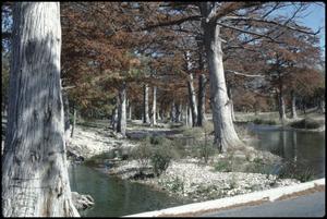 [Guadalupe River Low Water Channel at North Fork 5]