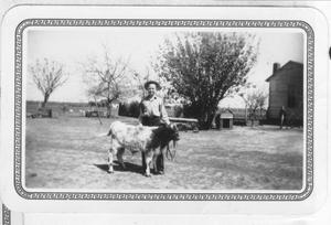 [Photograph of George Jodarski with a calf]
