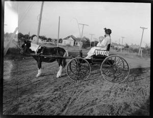 [Photograph of Woman on Pony Cart with Children]