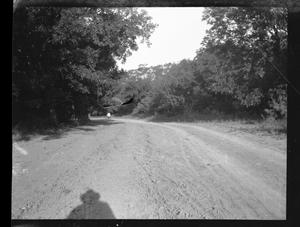 [Photograph of Long Dirt Road Through Trees]