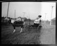 Photograph: [Photograph of Young Girl and Child Driving Pony Cart]
