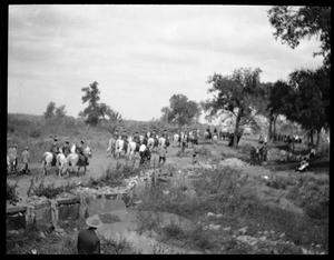 [Photograph of Horse Procession]