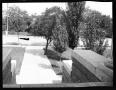 Photograph: [Photograph of Street from Porch Steps]