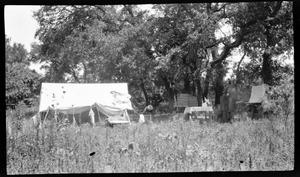 Primary view of object titled '[Photograph of Campsite Among Trees]'.