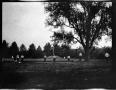 Photograph: [Photograph of Boys on Playing Field]