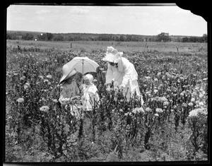 [Photograph of Woman and Children in Flower Field]