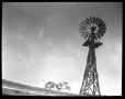 Thumbnail image of item number 1 in: '[Photograph of Windmill]'.