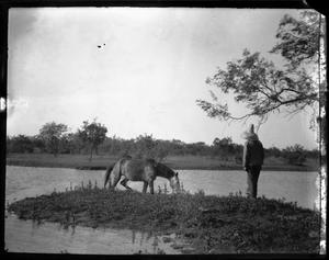 [Photograph of Horse at Water]