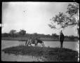 Photograph: [Photograph of Horse at Water]