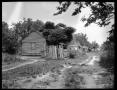Photograph: [Photograph of Three Wooden Shacks in a Row]