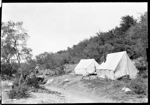 [Photograph of Wagon on Trail by Tents]