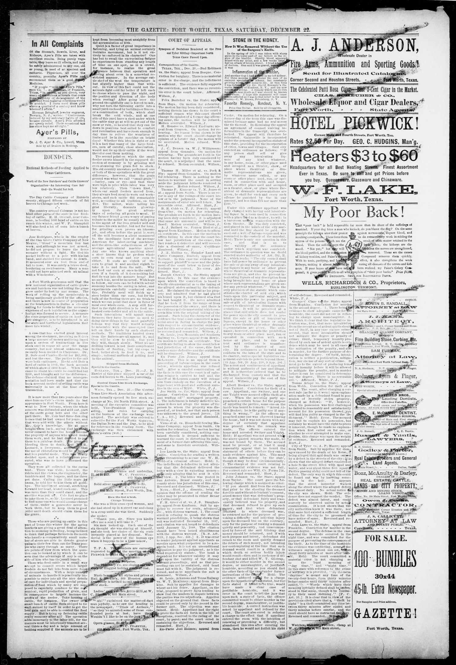 Fort Worth Daily Gazette. (Fort Worth, Tex.), Vol. 13, No. 172, Ed. 1, Saturday, December 22, 1888
                                                
                                                    [Sequence #]: 3 of 8
                                                