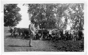 Primary view of object titled 'LC Brite with Cattle Going to Nebraska'.
