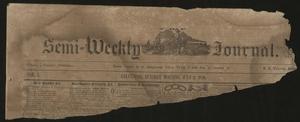 Primary view of object titled 'The Semi-Weekly Journal. (Galveston, Tex.), Vol. 1, No. [42], Ed. 1 Tuesday, July 2, 1850'.