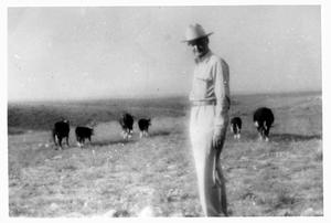 M.D.Bryant Inspecting Cattle, 1948