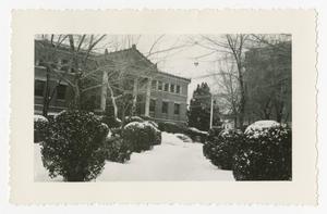 [Carnegie Library Snowy Lawn]